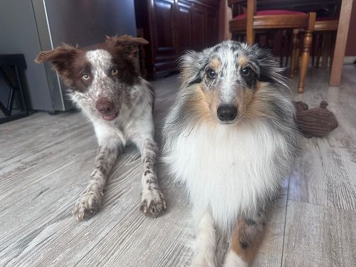 des Crocs de Provence - Des nouvelles de Vaban