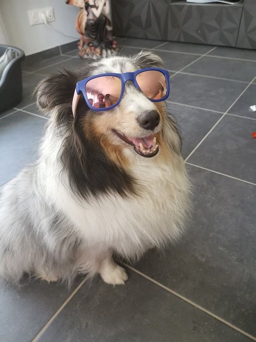 Des nouvelles de Roxie