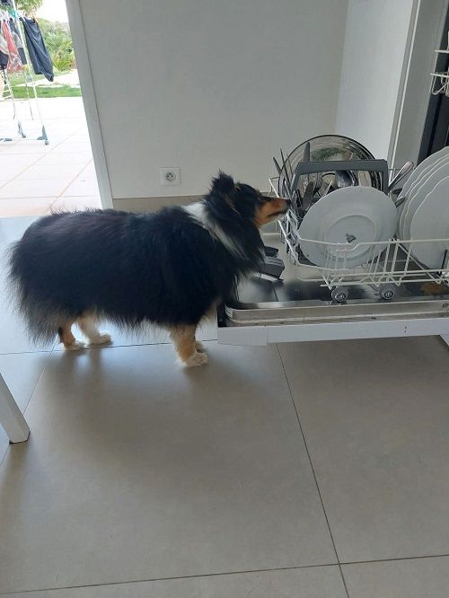 Des nouvelles de Rubie